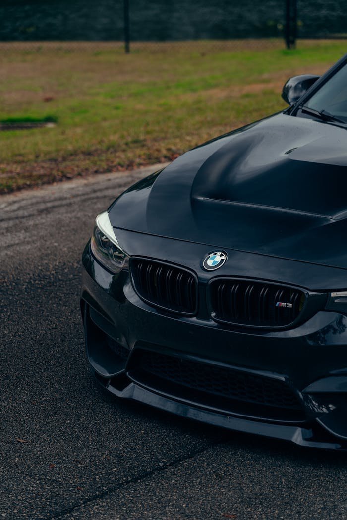 pexels photo 30666556.jpeg